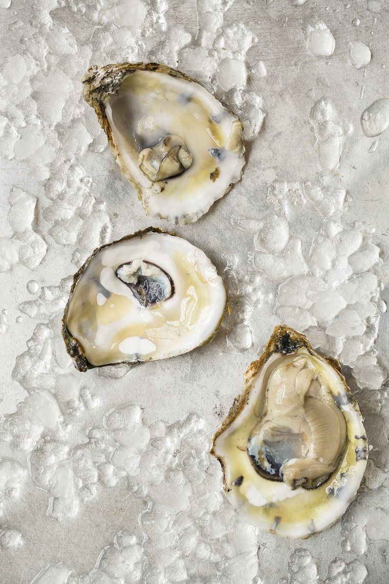 1020Post_Oysters-0068