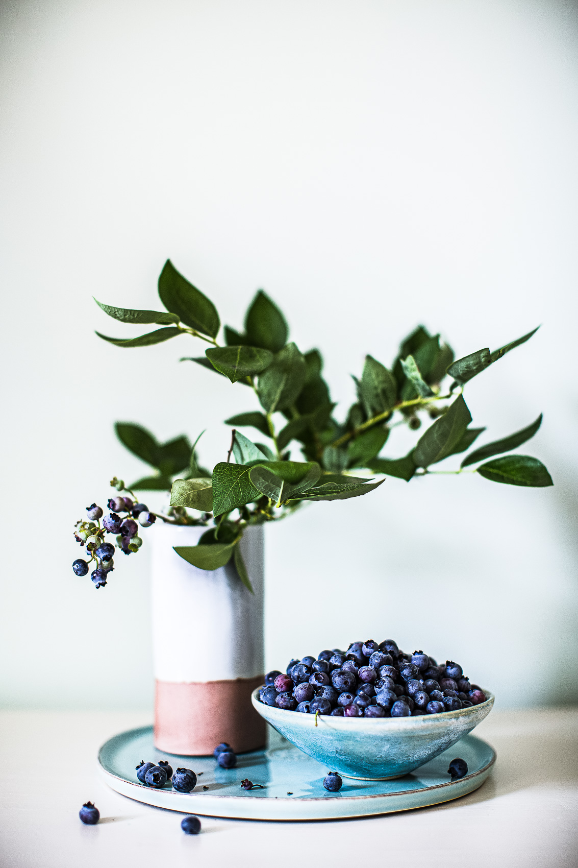 Blueberries-142copy