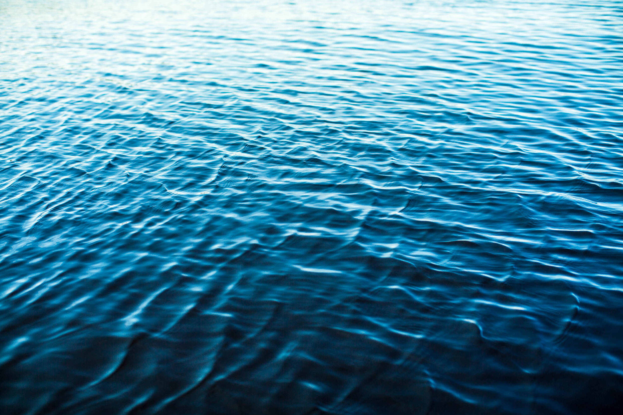 StoningtonKelpCo-228