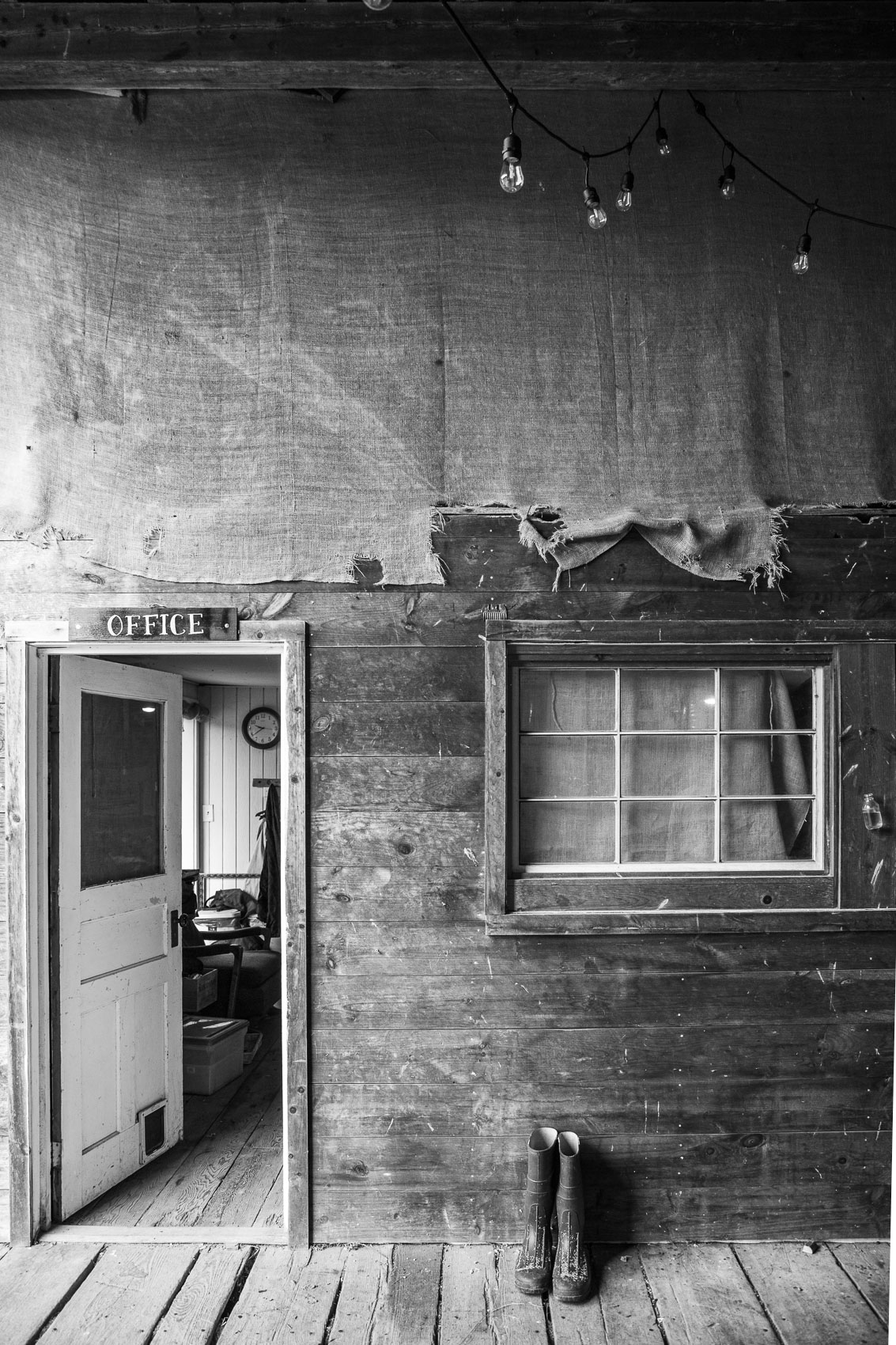 TheHickories-554